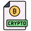 bitcoin, document, cryptocurrency, information, paper, expense, crypto 