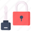 private, key, padlock, cryptocurrency, access, security, locked 