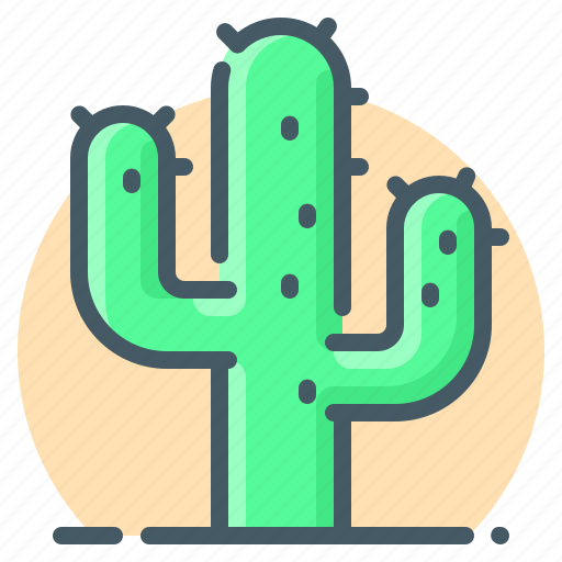Cactus, plant, no, result, error, desert, no result icon - Download on Iconfinder