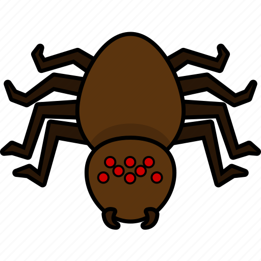Spider, animal, araneae, creepy, halloween icon - Download on Iconfinder
