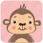 animal, ape, cute, face, head, monkey, portrait 