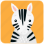 animal, cute, face, head, horse, portrait, zebra 