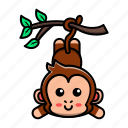cute, monkey, hanging, tree, animal, mammal, wildlife