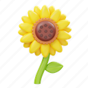 sunflower, flower, sunny, spring, garden, plant, easter 