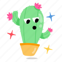 cacti, cactus, prickly plant, succulent, cactus pot