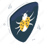 bug security, bug protection, virus security, virus protection, beetle security 