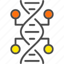 biology, chromosome, dna, genetics, genome, science
