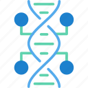 biology, chromosome, dna, genetics, genome, science