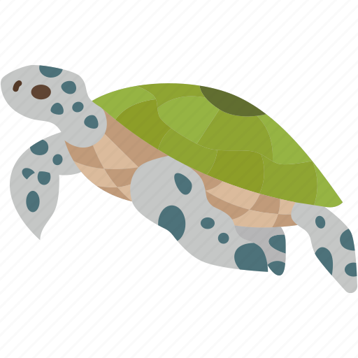 Turtle, marine, animal, wildlife, nature icon - Download on Iconfinder