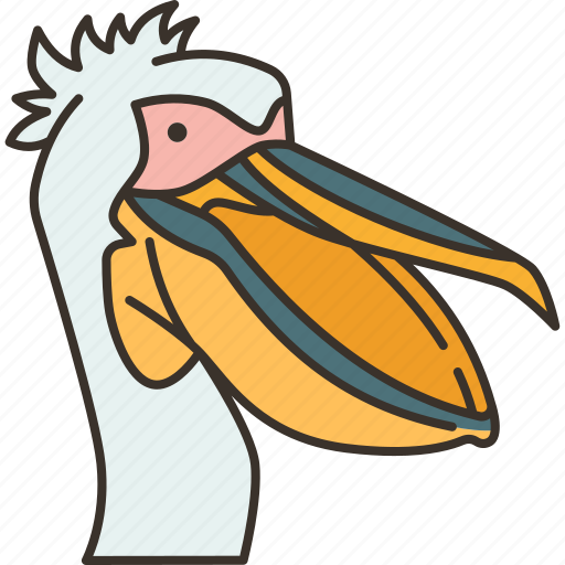 Pelican, bird, beak, animal, nature icon - Download on Iconfinder