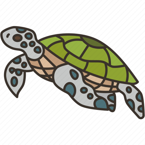 Turtle, marine, animal, wildlife, nature icon - Download on Iconfinder