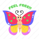 feel free, cute butterfly, cute insect, colourful butterfly, monarch