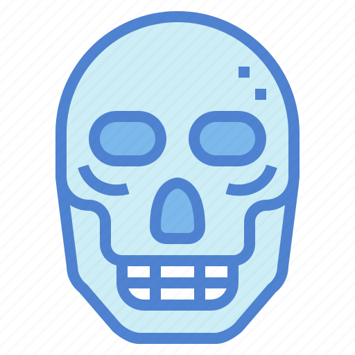 Anatomy, bone, dead, death, skull icon - Download on Iconfinder