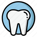 enamel teeth, teeth protection, tooth, dental, dentistry