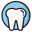 enamel teeth, teeth protection, tooth, dental, dentistry 