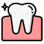 gum, dental, tooth, molar, hygiene 