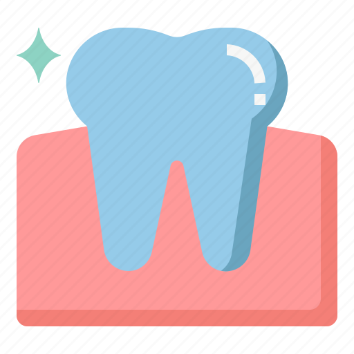 Gum, dental, tooth, molar, hygiene icon - Download on Iconfinder