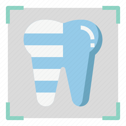 Teeth xray, tooth, dentistry, dental, dentist icon - Download on Iconfinder