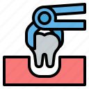 tooth, extraction, extract, dental, teeth, dentist