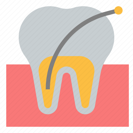 Tooth, root, canal, odontology, dental, teeth, dentist icon - Download on Iconfinder