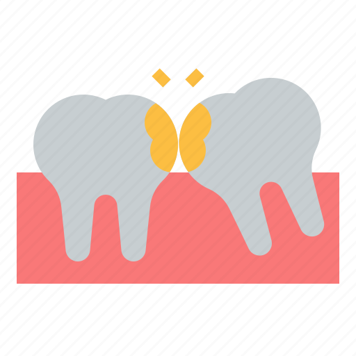 Wisdom, tooth, dental, teeth, dentist, care icon - Download on Iconfinder