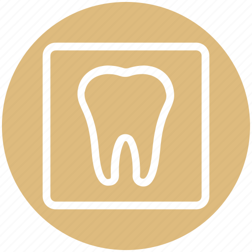 .svg, dental, dentist, stomatology, teeth, tooth icon - Download on Iconfinder