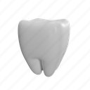 tooth, dentist, dental, health, white, mouth 