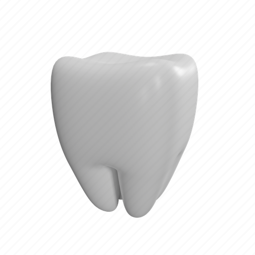 Tooth, dentist, dental, health, white, mouth 3D illustration - Download on Iconfinder