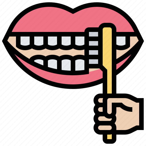 Brush, clean, dental, teeth, tooth icon - Download on Iconfinder