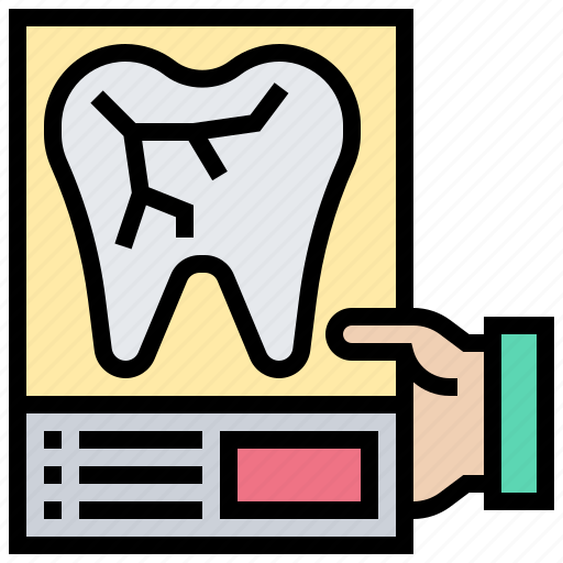 Dental, healthcare, radiology, ray, x icon - Download on Iconfinder