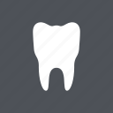 dental, dentist, health, medical, molar, tooth, white 