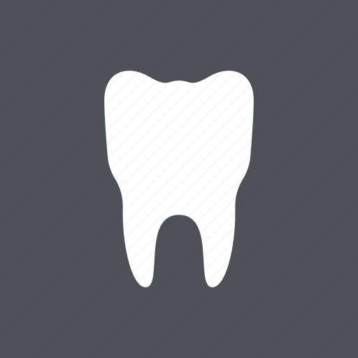 Dental, dentist, health, medical, molar, tooth, white icon - Download on Iconfinder