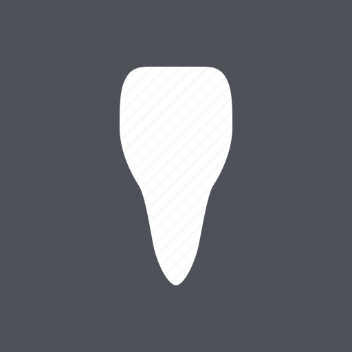 Dental, dentist, healthy, incisor, medical, tooth, white icon - Download on Iconfinder