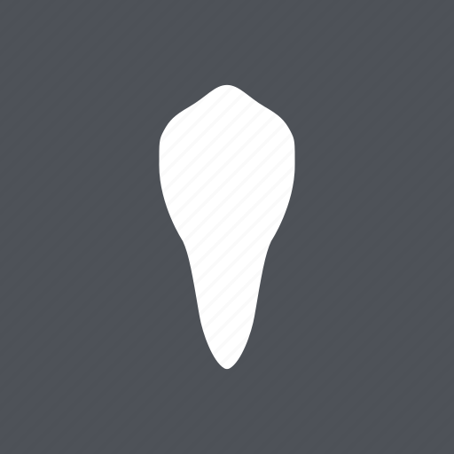 Canine, dental, dentist, health, medical, tooth, white icon - Download on Iconfinder