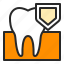dental, dentistry, health, healthcare, protect, strong, tooth 
