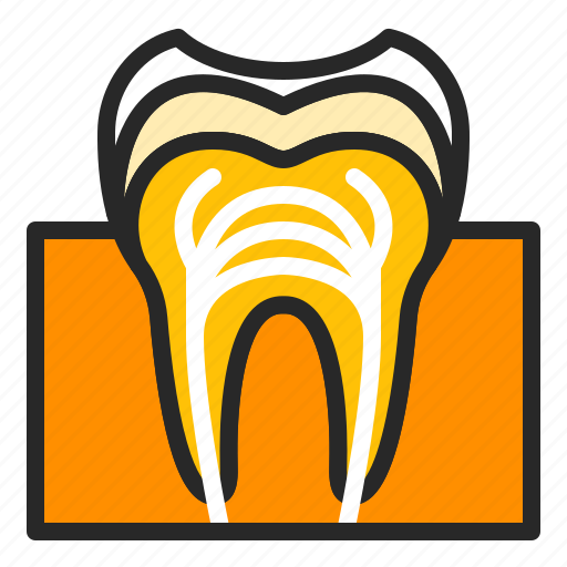 Cavity, decay, dental, dentistry, rootcanal, stoatology, tooth icon - Download on Iconfinder