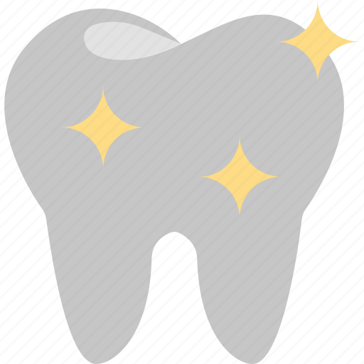 Dentist, dentistry, healthcare, healthy, services, tooth icon - Download on Iconfinder