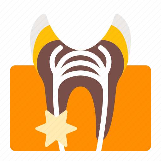 Cavity, decay, dentistry, oral, pulp, teeth, tooth icon - Download on Iconfinder