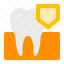 dentistry, health, oral, protect, secure, strong, tooth