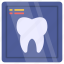 dental x-ray, tooth x-ray, tooth image, dental image, stomatology 
