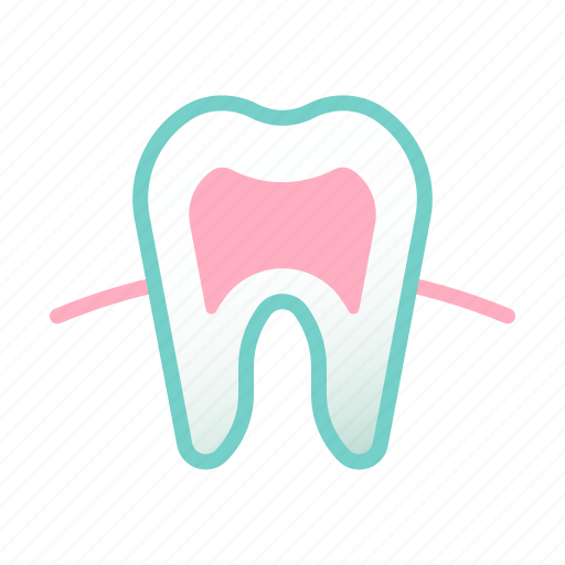 Dental, health, hygiene, medical, oral, tooth, tooth root icon - Download on Iconfinder