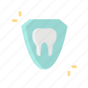dental, dentist, dentistry, mouth, stomatology, teeth, toothbrush
