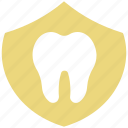 body part, dental, human, human tooth, molar, stomatology, tooth