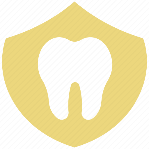 Body part, dental, human, human tooth, molar, stomatology, tooth icon - Download on Iconfinder