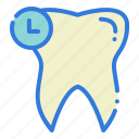 dental schedule, dental, dentist, tooth, teeth