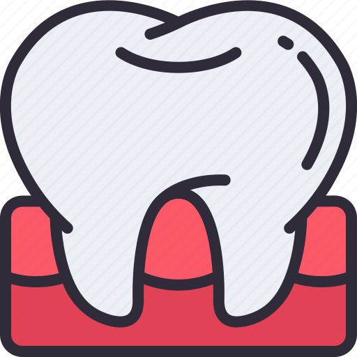 Tooth, teeth, dental, dentist, medical icon - Download on Iconfinder