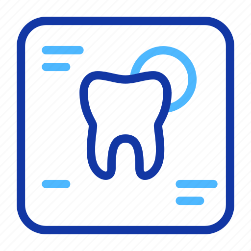 Dental, report, dentistry, tooth, hygiene, teeth, dentist icon - Download on Iconfinder