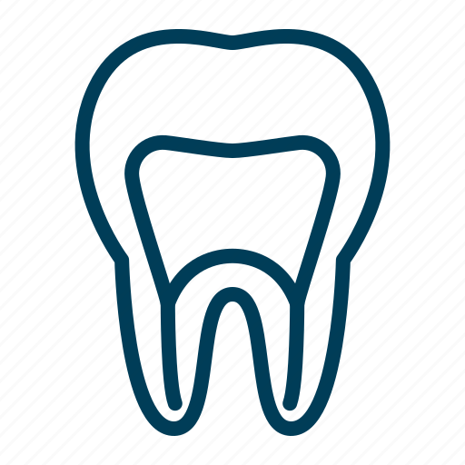 Dental, dentist, dentistry, root, tooth icon - Download on Iconfinder
