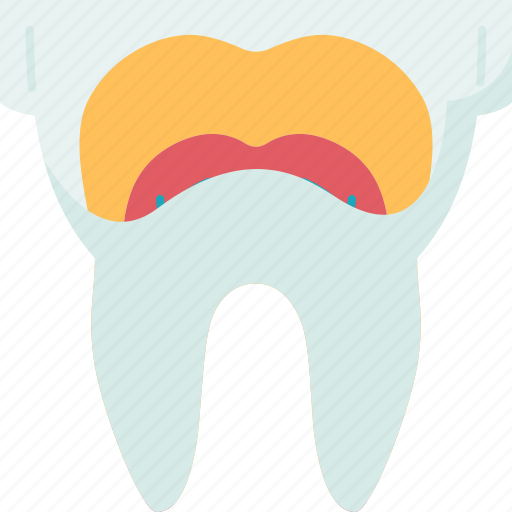 Root, canal, anatomy, dental, enamel icon - Download on Iconfinder