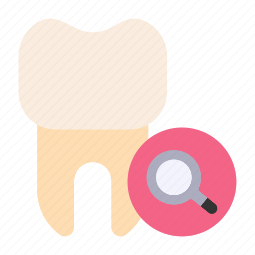 Search, magnifying, glass, tooth, dentist icon - Download on Iconfinder